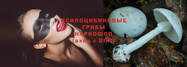 прущие крисы Абинск