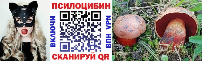 хочу наркоту  Поворино  Псилоцибиновые грибы мицелий 
